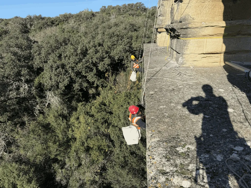 Deux cordistes descendent le long de la maçonnerie, sacs de végétation en main