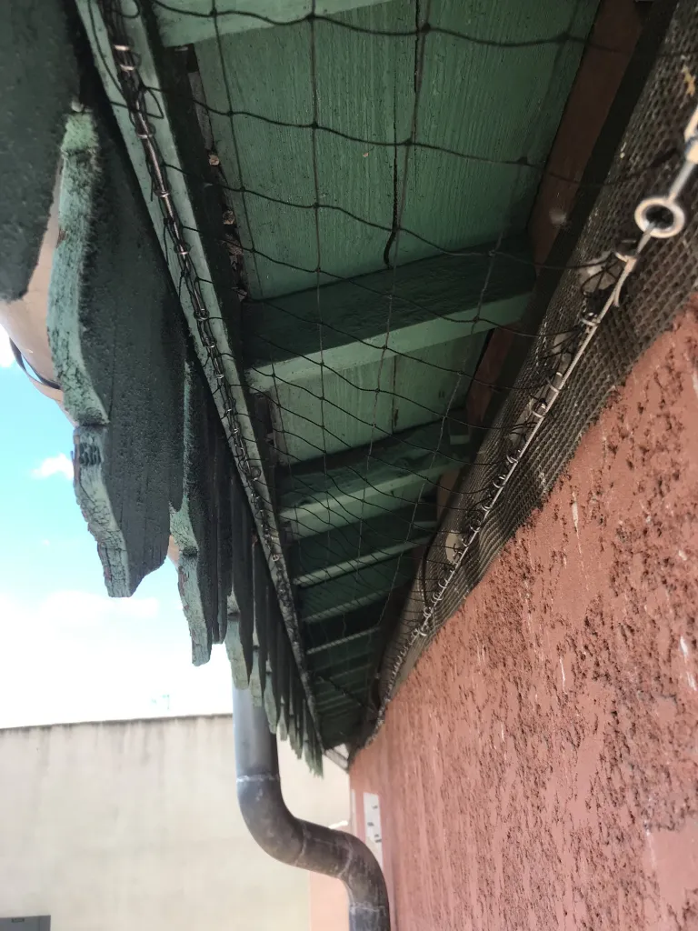 Filet anti-volatiles tendu sous un débord de toiture