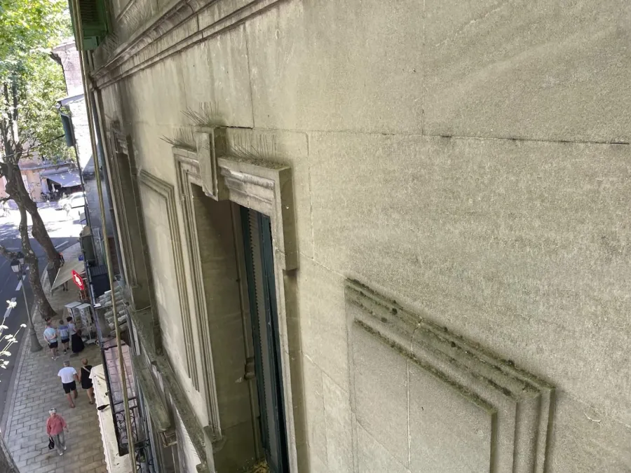 Pics anti-volatiles sur façades